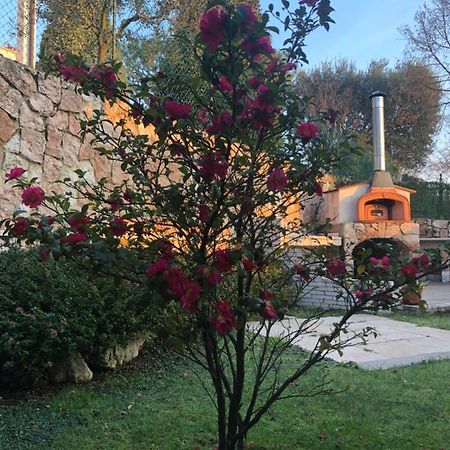 B&B Damiano Crespano del Grappa Exterior foto